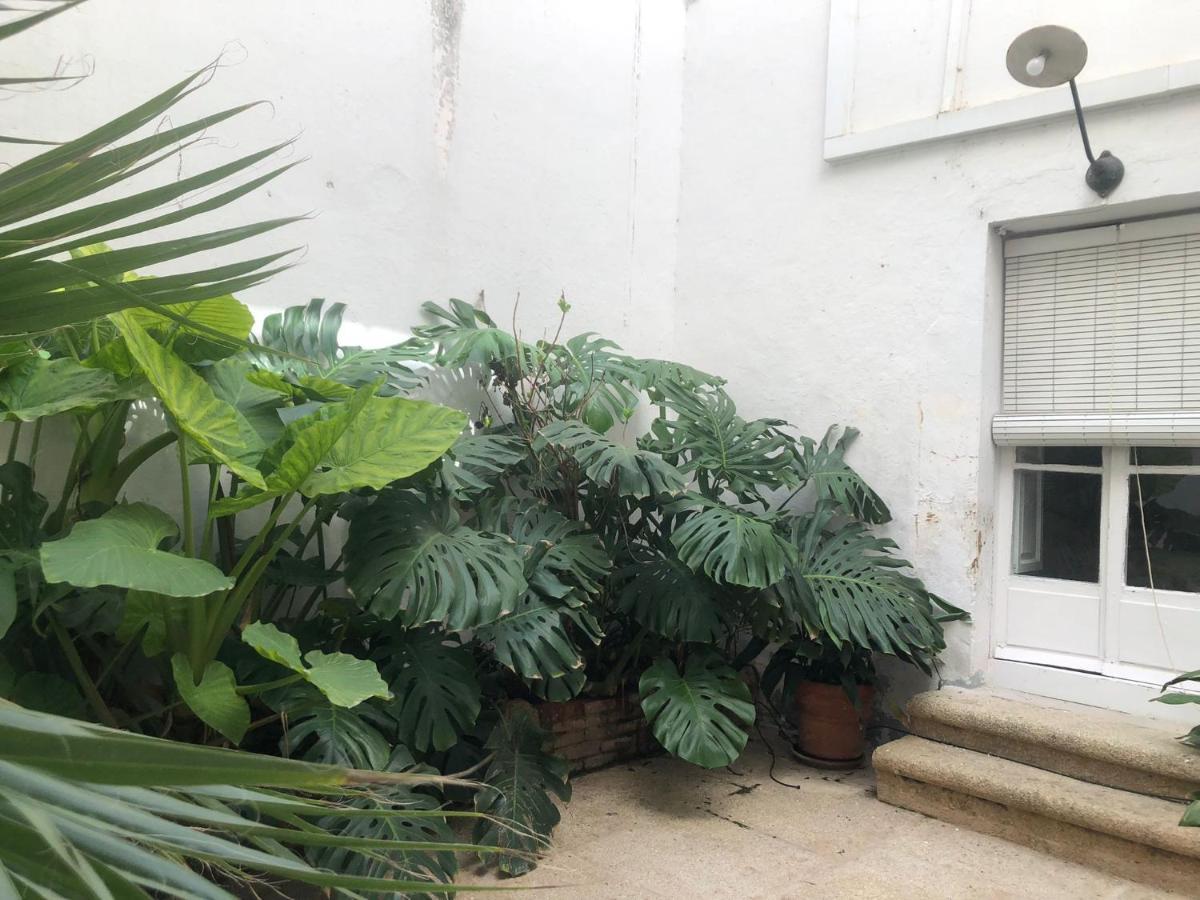 Apartamentos Tukasa Vintage Cáceres Exterior photo